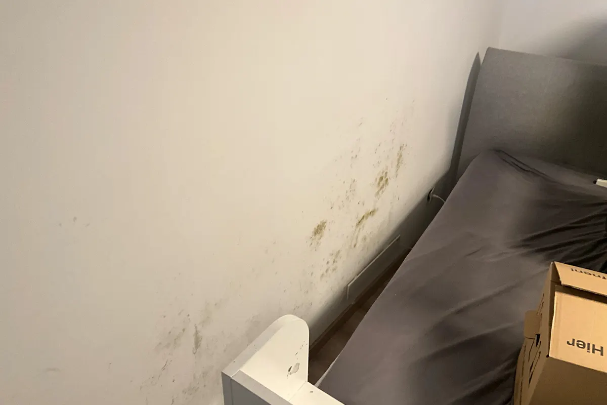 Feuchte Kellerwand mit sichtbaren Wasserschäden und Schimmelbildung nahe einem kleinen Fenster.