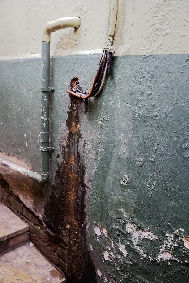 Typisches Schadensbild: durchfeuchtete Wand mit abplatzendem Putz und Anstrich