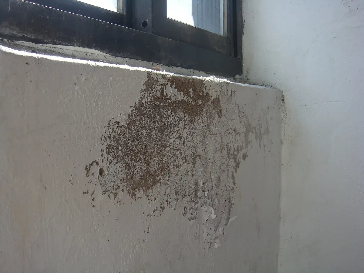 Typisches Schadensbild: abgelöster Anstrich und Ausblühung unter einer Fensterbank