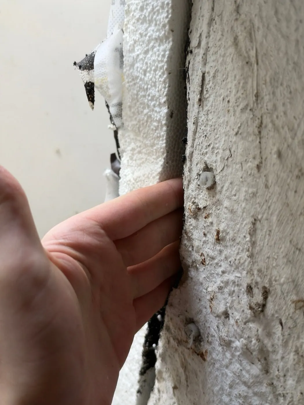 Hand zwischen Dämmplatte und Kellerwand