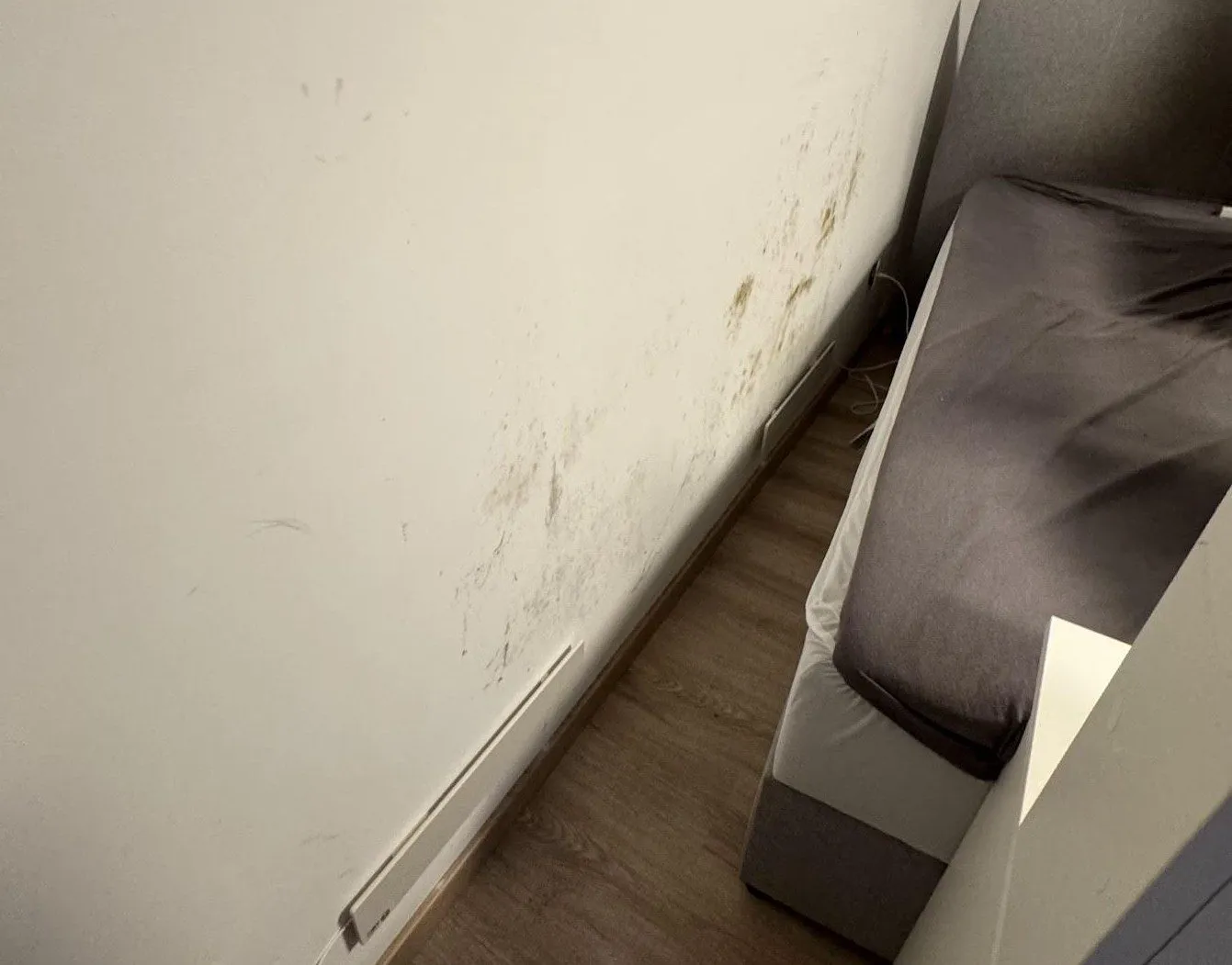 Außenwand im Schlafzimmer mit fleckigem Schimmel in Bodennähe neben einem Bett
