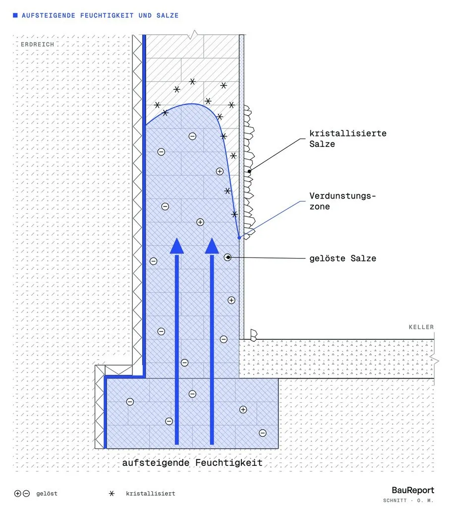 Schemazeichnung: Feuchte steigt vom Fundament in der Wand auf, an der Oberfläche kristallisieren Salze